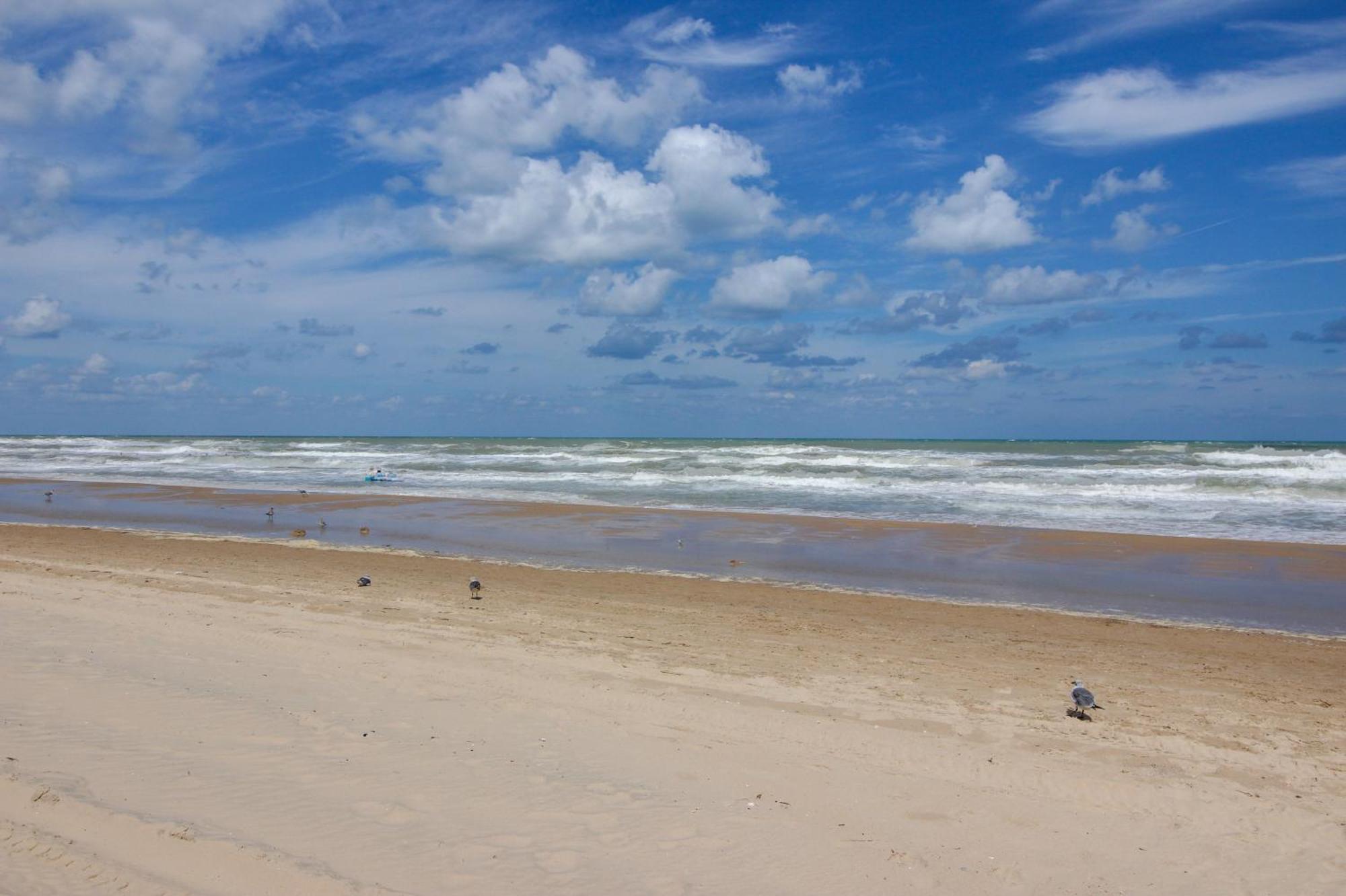 Ventura Villa South Padre Island Rom bilde