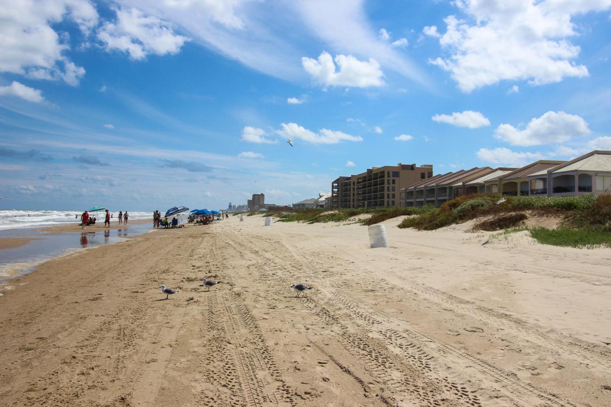 Ventura Villa South Padre Island Rom bilde